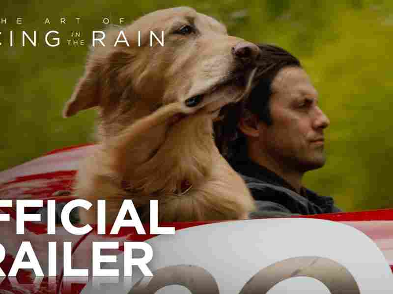 The Art of Racing in the Rain